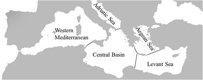 Sponge-Associated Polychaetes: Not a Random Assemblage